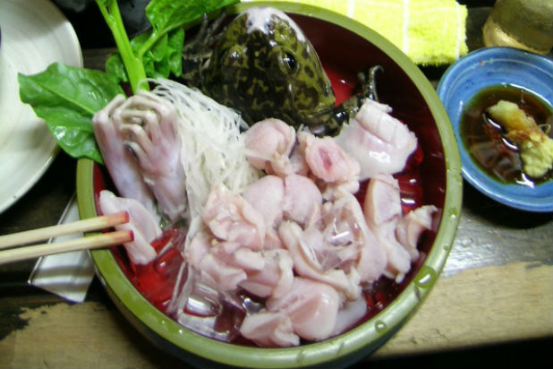 Frog  Frog Sashimi is a fresh frog meal. When I say fresh frog, I mean that it is literally killed in front of your eyes and is meant to be consumed immediately.