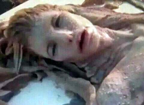 Hay guyss watching snap