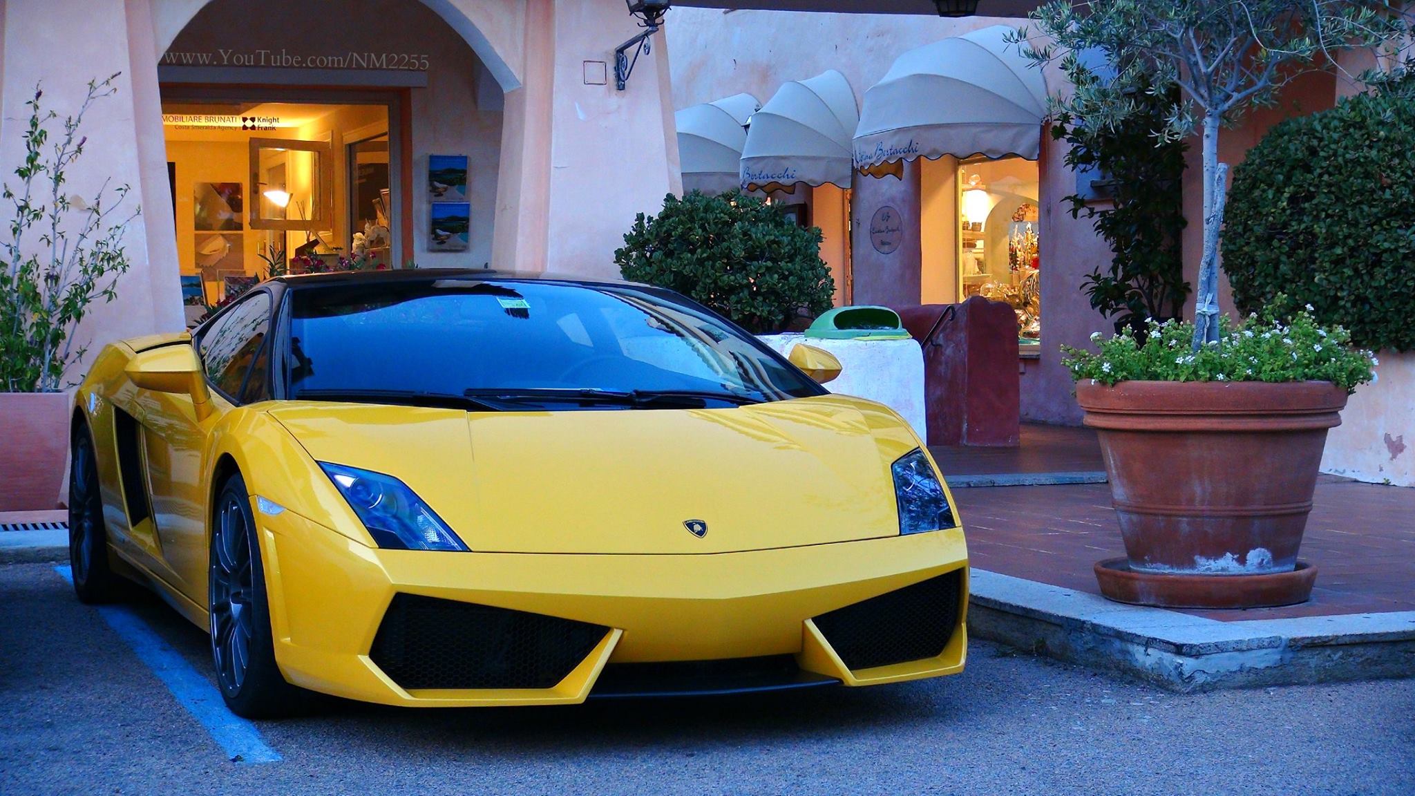 How many "Thumbs Up" can this stunning Gallardo Bicolore get?