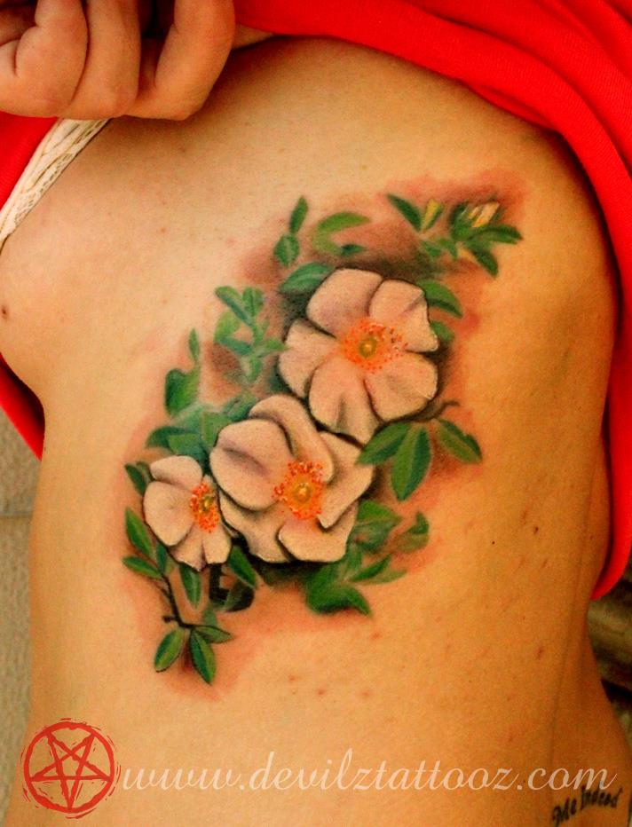 The Cherokee rose, state flower of Georgia, USA on a client, obviously from Georgia, USA Artist: Alex