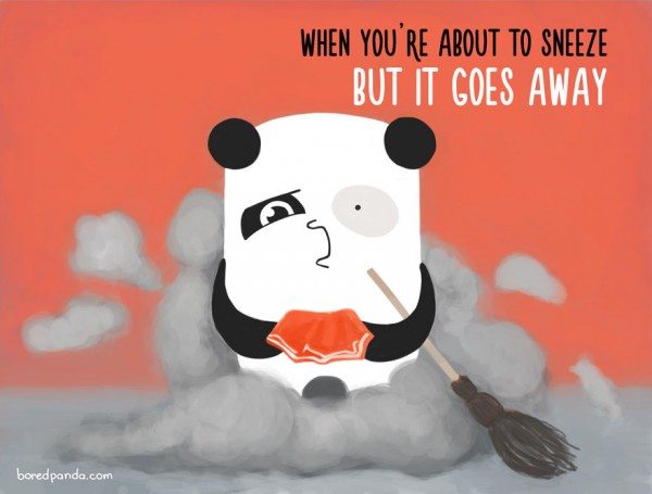 Sneeze - When You'Re About To Sneeze But It Goes Away boredpanda.com