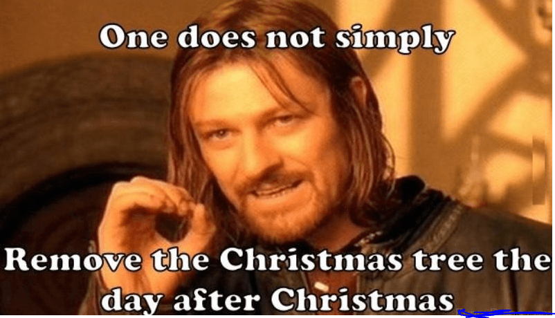 christmas memes - One does not simply Remove the Christmas tree the day after Christmas