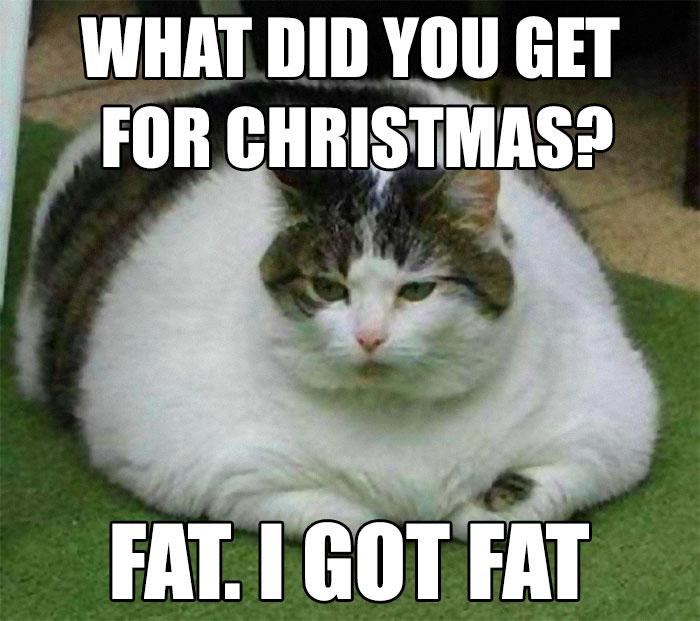 funny christmas memes - What Did You Get For Christmas? Fat. I Got Fat