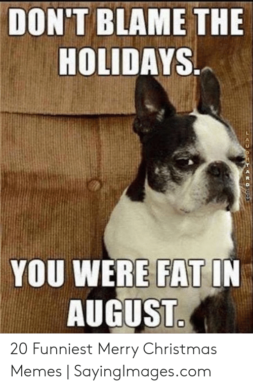 food and the holidays memes - Don'T Blame The Holidays. You Were Fat In August. 20 Funniest Merry Christmas Memes | Sayinglmages.com