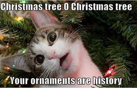 christmas memes cats - Christmas tree O Christmas tree Your ornaments are history