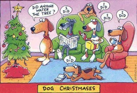 christmas tree funny cartoon - Did Anyone Water Did The Tree? Did Dog Christmases