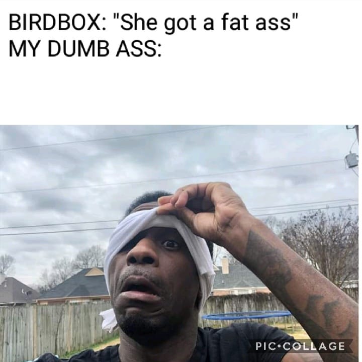 facebook bird box memes - Birdbox "She got a fat ass" My Dumb Ass Pic.Collage