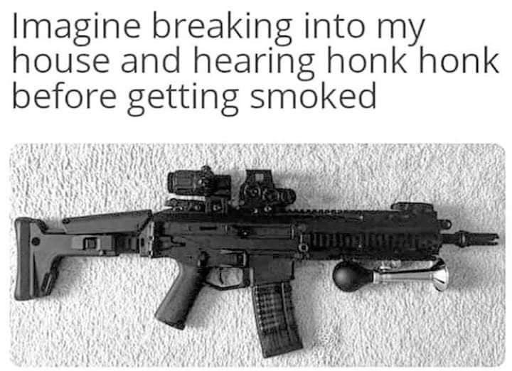 imagine hearing honk honk before getting smoked - Imagine breaking into my house and hearing honk honk before getting smoked