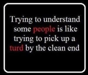 trying to understand quotes - Trying to understand some people is trying to pick up a turd by the clean end