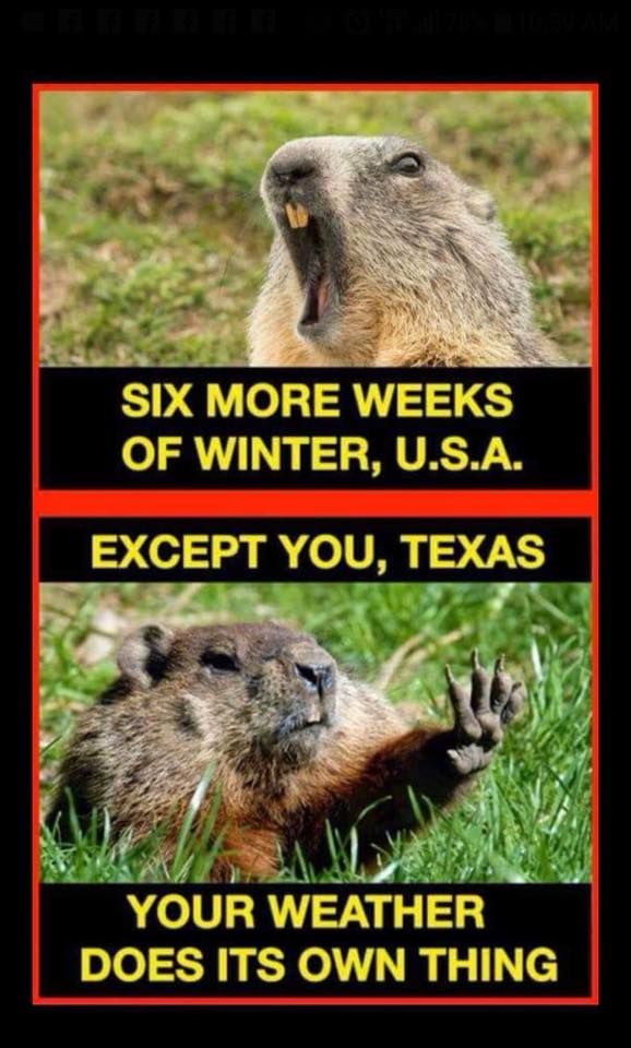 groundhog texas meme - Six More Weeks Of Winter, U.S.A. Except You, Texas Your Weather Does Its Own Thing
