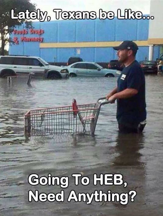 flood memes texas - Lately, Texans be ... Going To Heb, Need Anything?