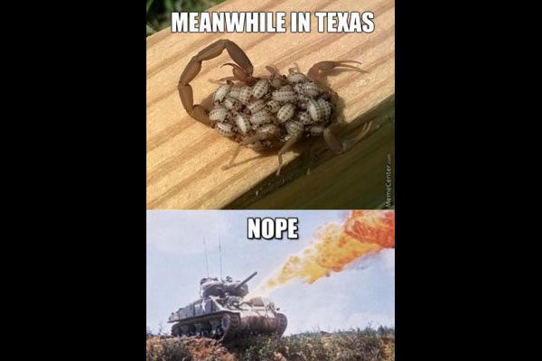 texas memes - Meanwhile In Texas MemeCenter Nope
