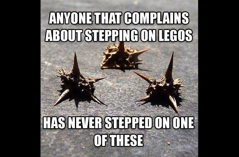 texas memes - Anyone That Complains About Stepping On Legos Has Never Stepped On One Of These