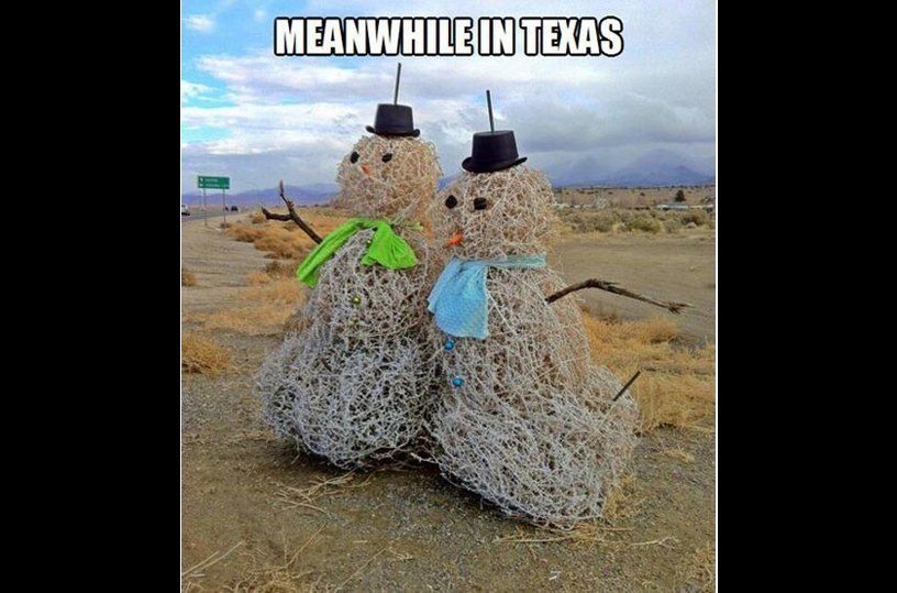 texas snowman - Meanwhile In Texas