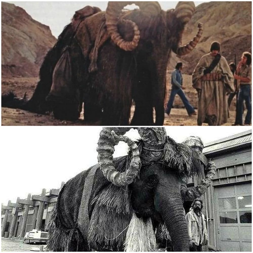 star wars bantha elephant