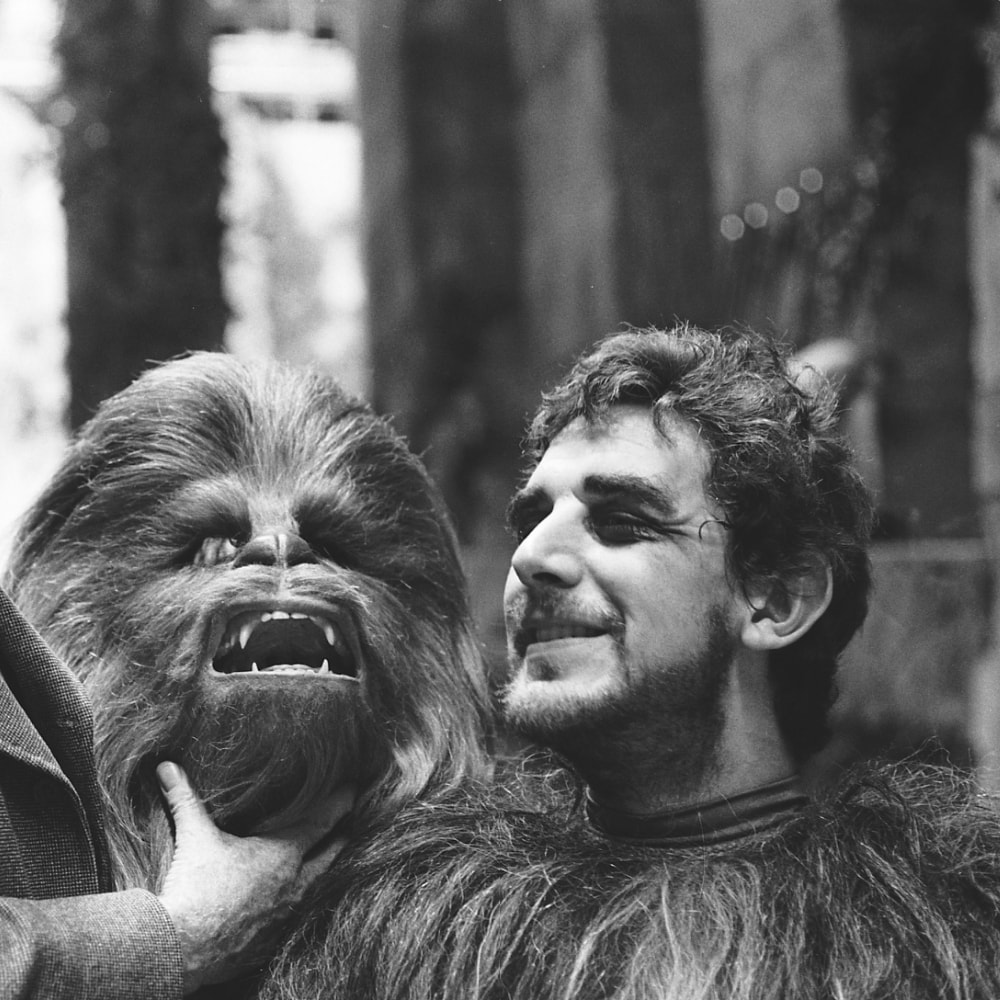 chewbacca peter mayhew