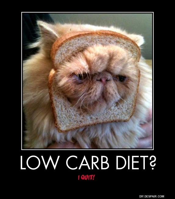 cat breading - Low Carb Diet? I Quit! Diy.Despair.Com