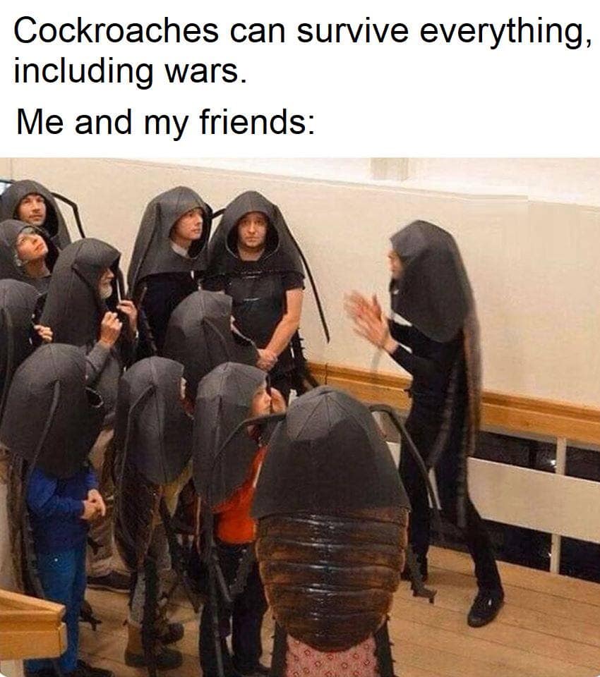 Cockroaches can survive everything, including wars. Me and my friends