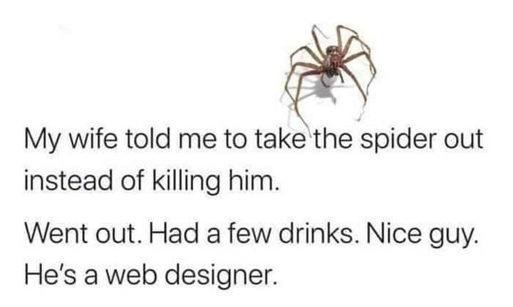 organ - My wife told me to take the spider out instead of killing him. Went out. Had a few drinks. Nice guy. He's a web designer.
