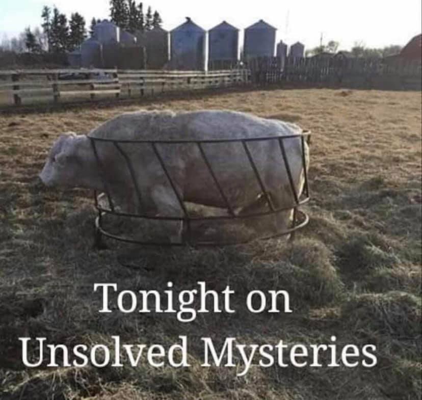 grass - Tonight on Unsolved Mysteries