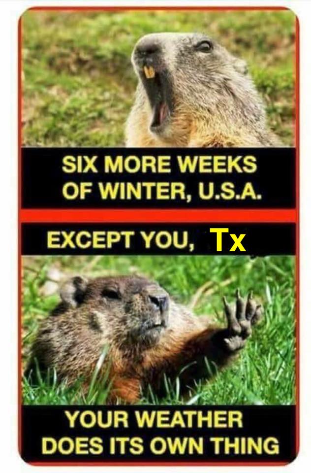 winter in missouri meme - Six More Weeks Of Winter. U.S.A. Except You, Tx Your Weather Does Its Own Thing