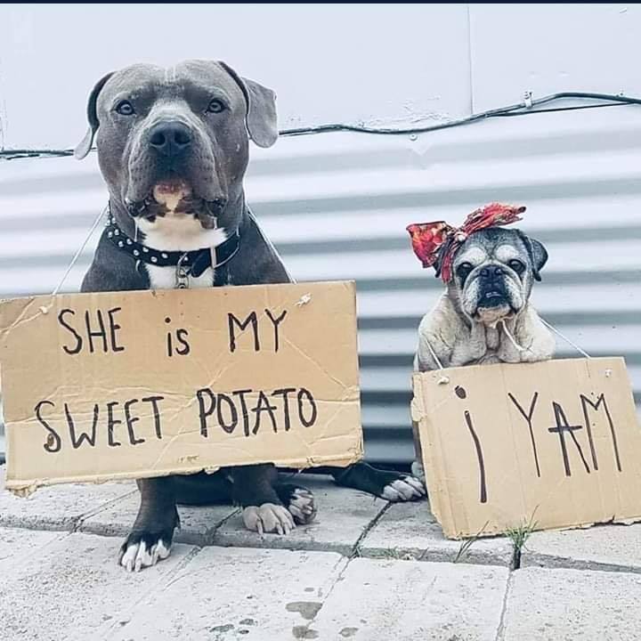 ESFP - She is My Sweet Potato