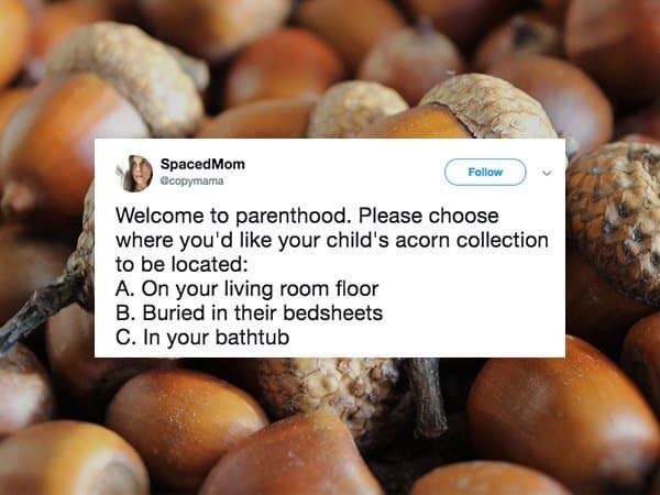 acorn s - Spaced Mom copymama Welcome to parenthood. Please choose where you'd your child's acorn collection to be located A. On your living room floor B. Buried in their bedsheets C. In your bathtub