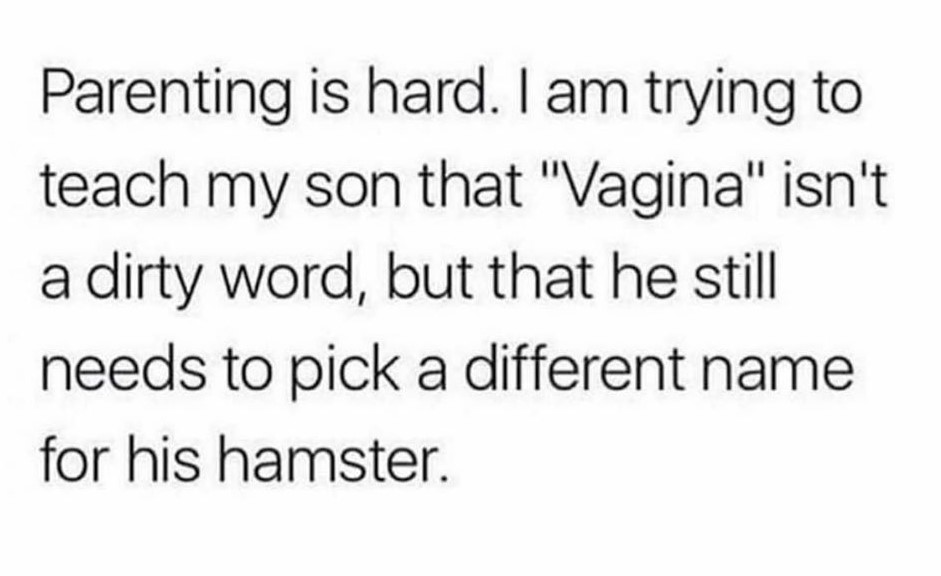 Parenting is hard. I am trying to teach my son that "Vagina" isn't a dirty word, but that he still needs to pick a different name for his hamster.