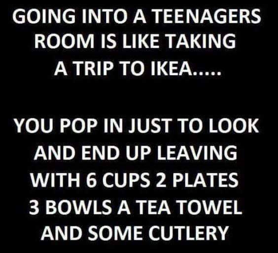 best jokes of the year - Going Into A Teenagers Room Is Taking A Trip To Ikea..... You Pop In Just To Look And End Up Leaving With 6 Cups 2 Plates 3 Bowls A Tea Towel And Some Cutlery