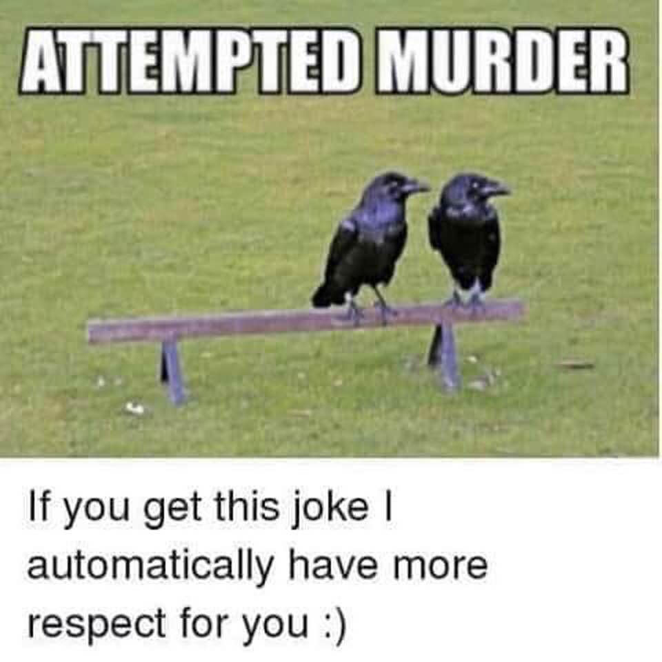 attempted murder joke - Attempted Murder If you get this joke | automatically have more respect for you