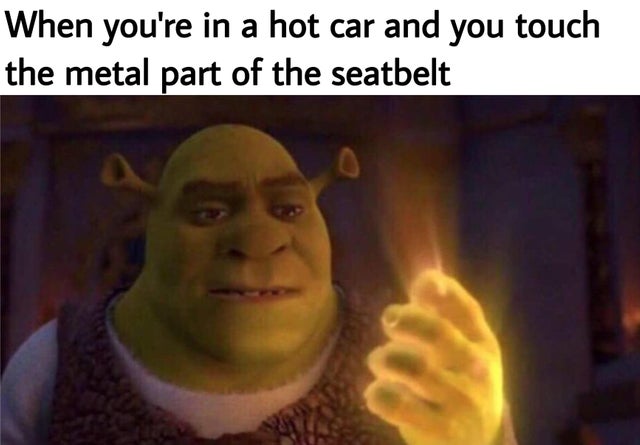 2019 memes - When you're in a hot car and you touch the metal part of the seatbelt