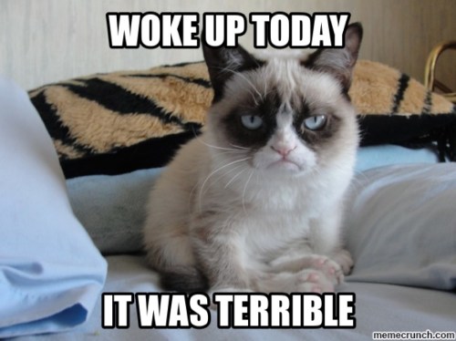 grumpy cat have a great day - Woke Up Today It Was Terrible memecrunch.com