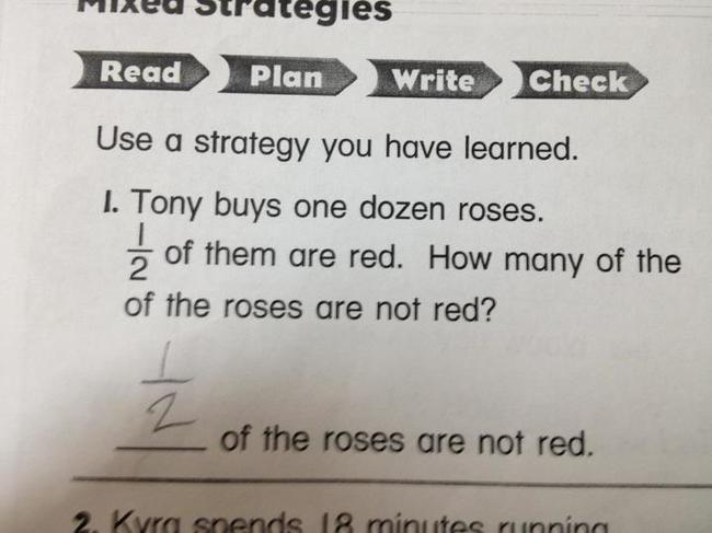 kids who beat the system - Meu Strategies Read Plan Write Check Use a strategy you have learned. 1. Tony buys one dozen roses. of them are red. How many of the of the roses are not red? of the roses are not red. 2. Kyra spends 18 minutes running