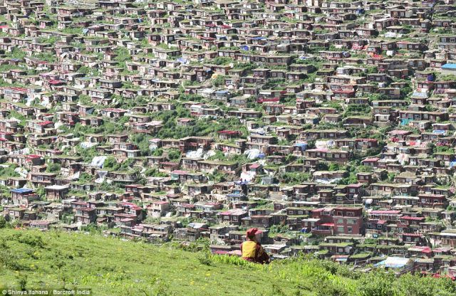 35 Epic Photos That Are Truly Fascinating