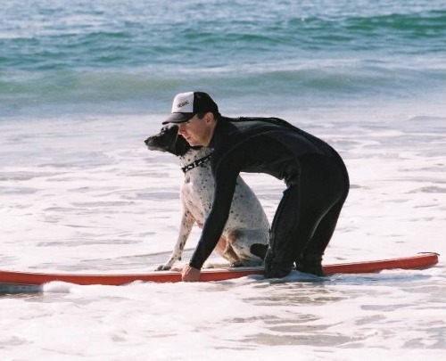 Dog Surf Instructor