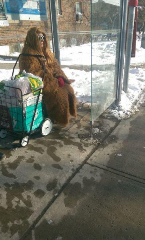 chewbacca's mother