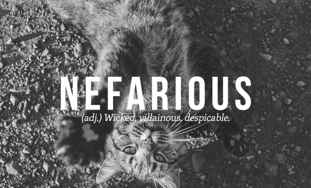 The Most Beautiful Sounding Words in the English Language