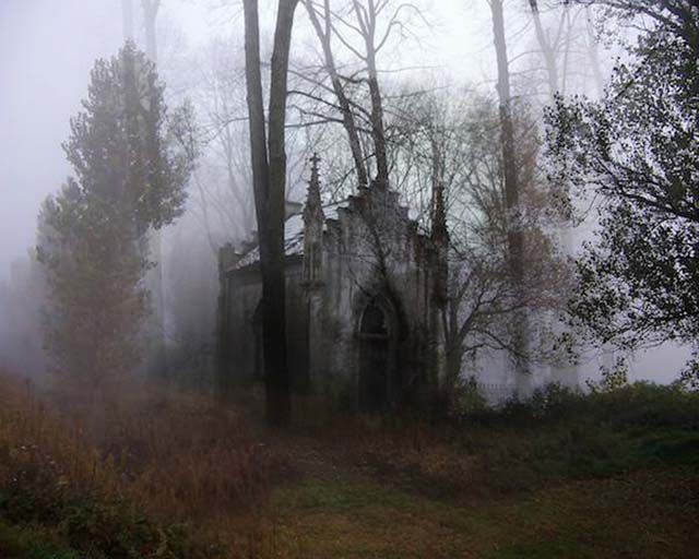 creepy dark forest cemetery