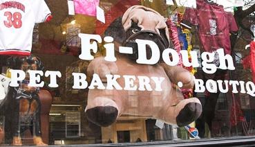 event - FiDough Pet Bakery Boutiq