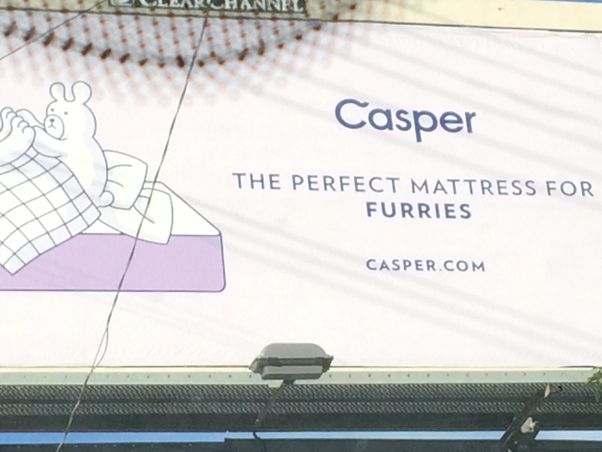 An actual advertisement directed to furries.