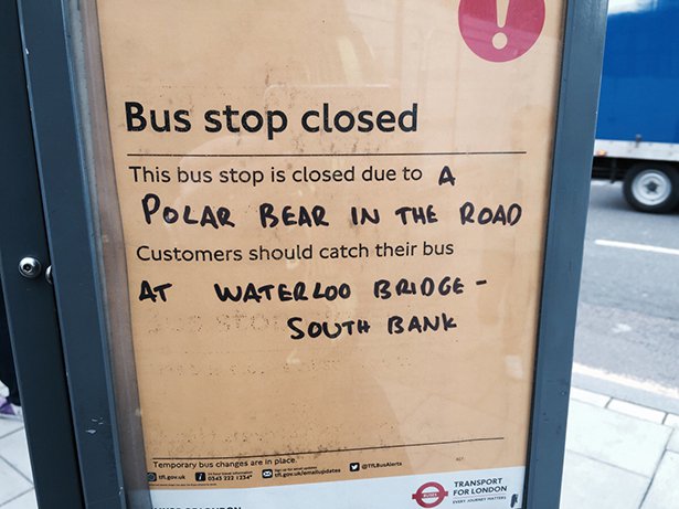 signage - Bus stop closed This bus stop is closed due to A Polar Bear In The Road Customers should catch their bus At Waterloo Broge Sio South Bank Temporary bus changes are in place. Transport For London