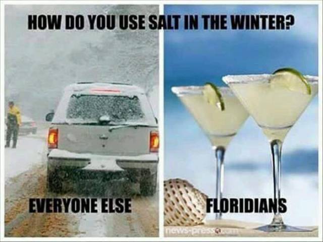 florida salt meme - How Do You Use Salt In The Winter? Everyone Else Floridians