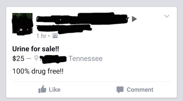 diagram - 1 hr. Urine for sale!! $25 S 100% drug free!! Tennessee Comment