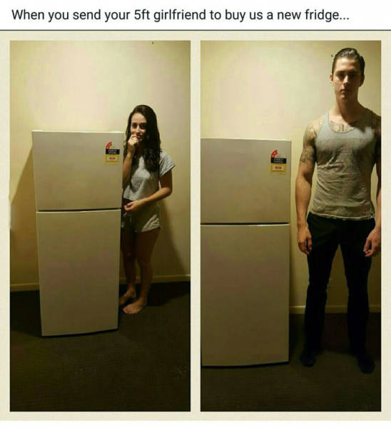 5ft meme - When you send your 5ft girlfriend to buy us a new fridge...