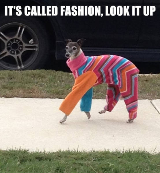 it's called fashion look it up - It'S Called Fashion, Look It Up