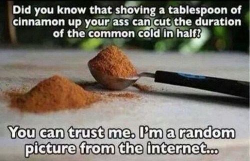 you can trust me i m a random - Did you know that shoving a tablespoon of cinnamon up your ass can cut the duration of the common cold in half? You can trust me. I'm a random picture from the internet.co
