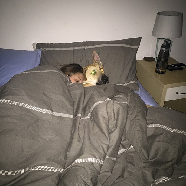 my wife in bed with best friend dog