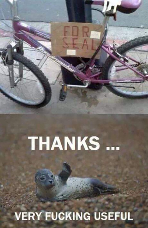 bike for seal - Thanks ... Very Fucking Useful