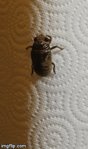 20 Best Nope GIFs You Will Ever See