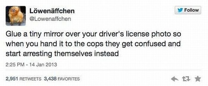 TROLLGODS SLEEP IS FOR PUSSIES Pic DUMP